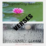 Pregnancy