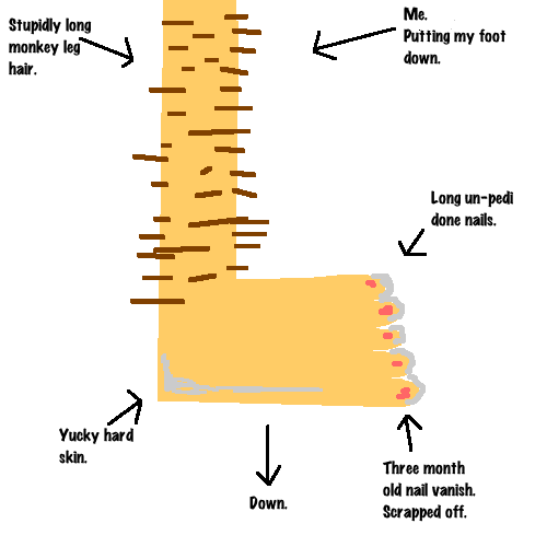 long-hairs