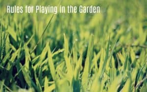 Rules for Playing in the Garden