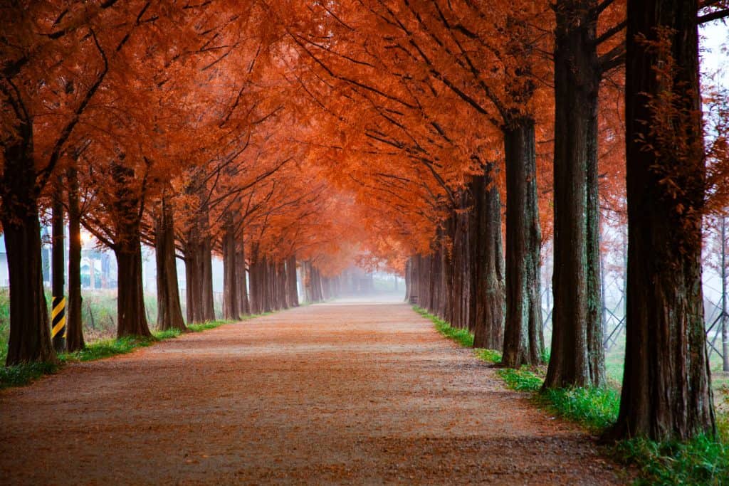 redecorate your home for fall
