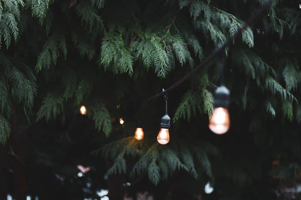 garden lighting
